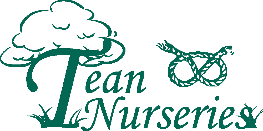 Tean Nurseries logo
