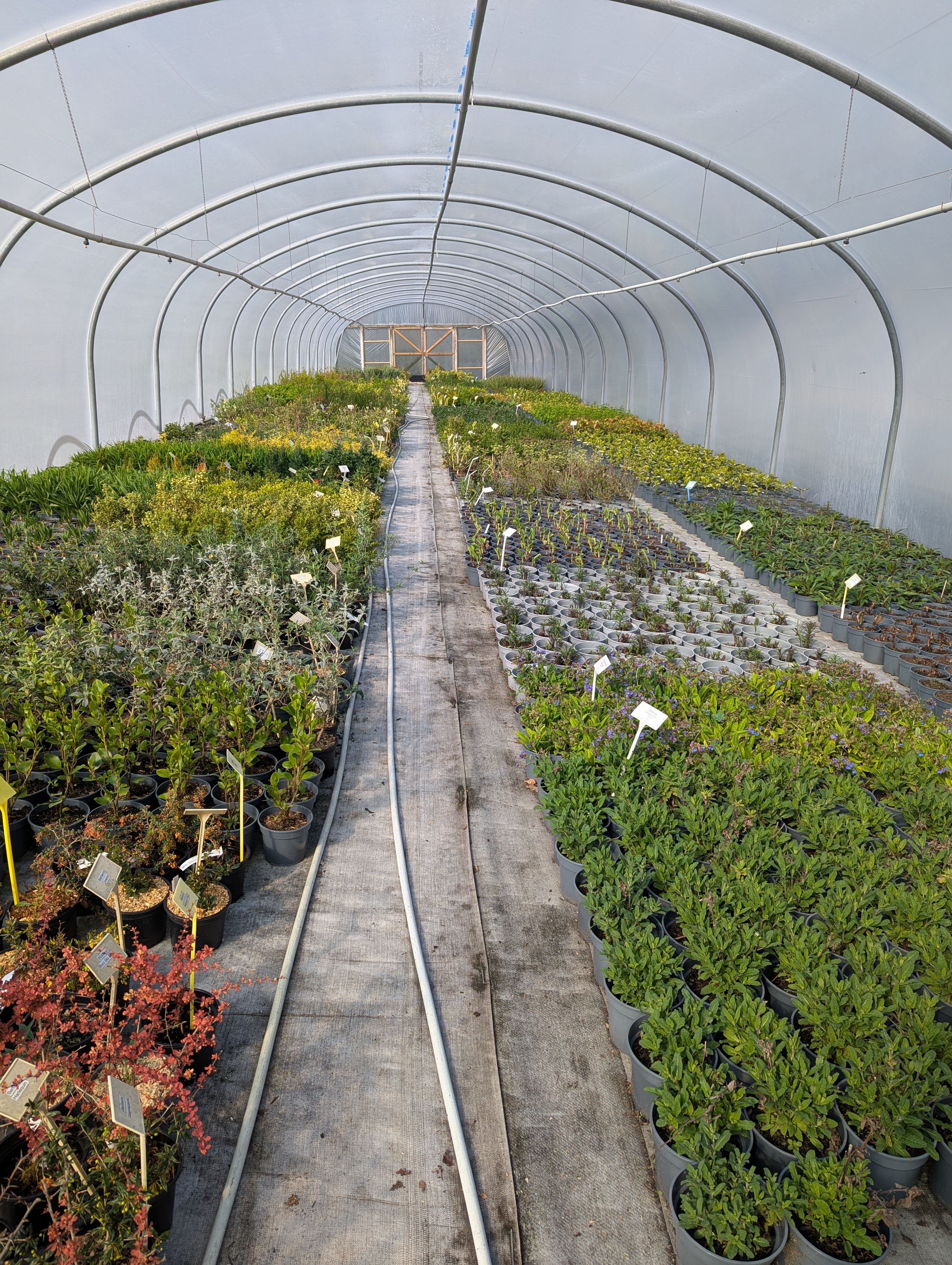Tean Nurseries about image placeholder