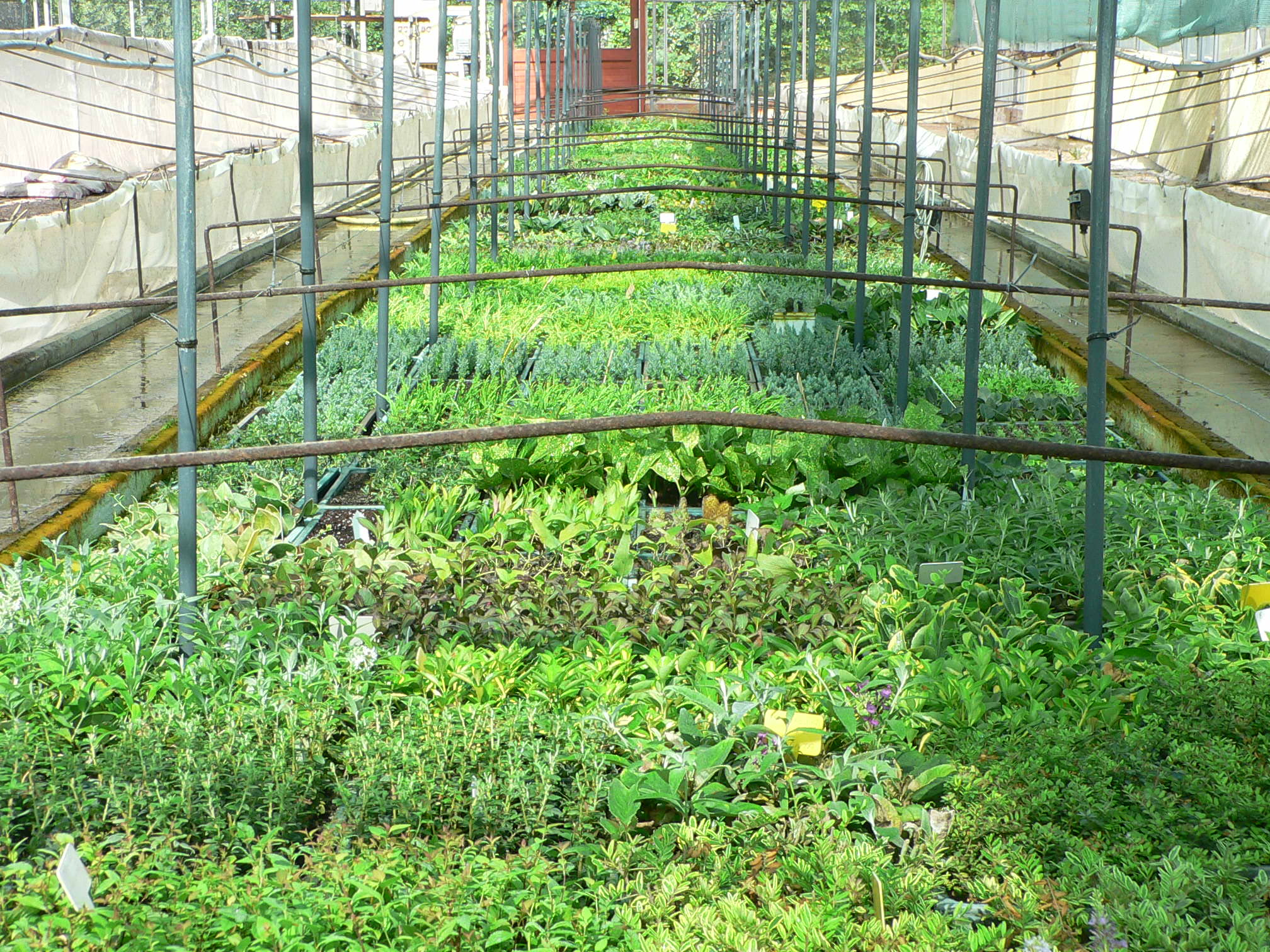 Nursery image placeholder 2